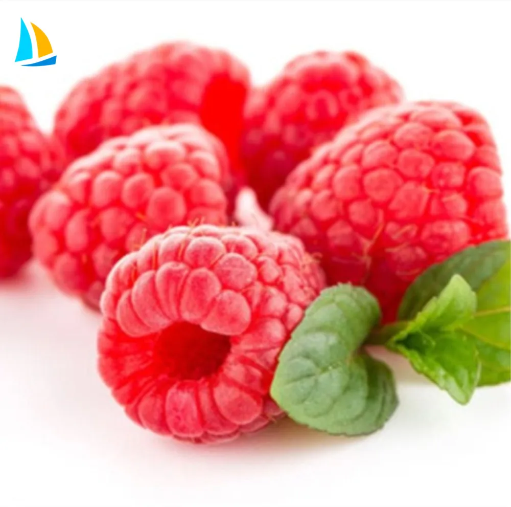 frozen fruits of red raspberries