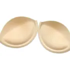 Most Welcomed Sexy Bikini Insert Pad Ladies Evening Dress Push Up Bra Cup