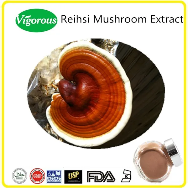 reishi mushroom extract.jpg