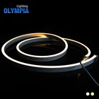 SASO Led Stripe Light 2200K-6500K Customized Led Stripe Flexible Led Strip Dmx 24v Led Strip Light
