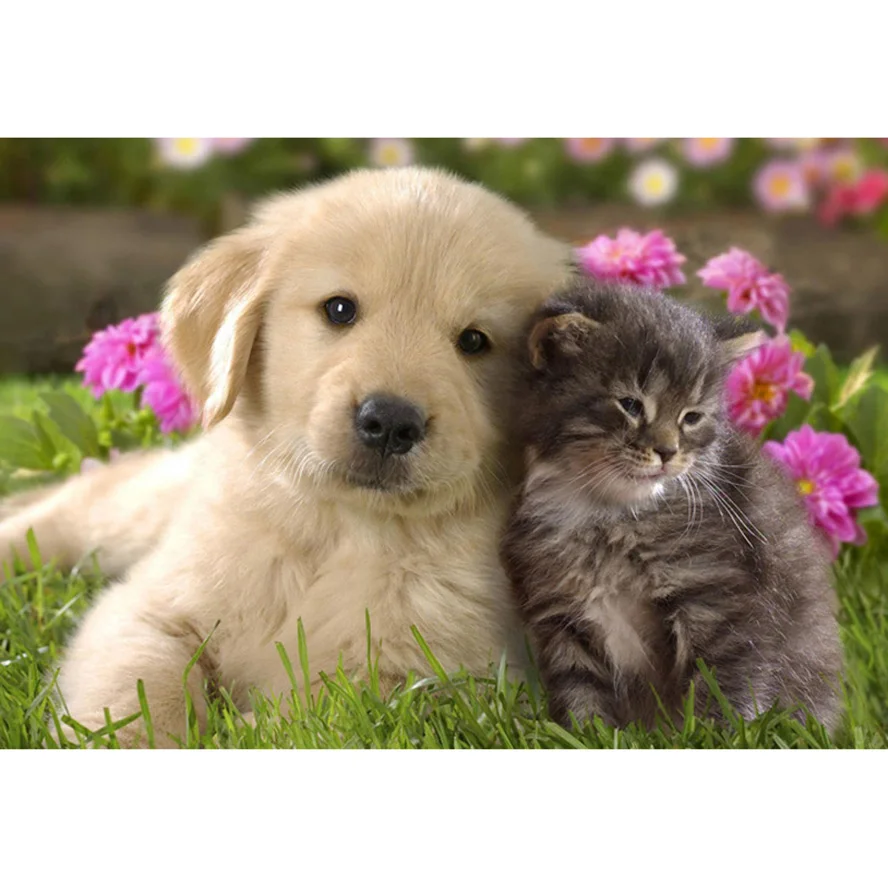 HTB1_0_NPVXXXXamXVXXq6xXFXXXE