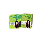 High Quality Customized Private Brand GoPerfect Black Brown Grape Purple Dye Hair Color Shampoo