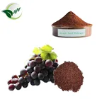 Halal Water Soluble Red-Brown Powder 95% proanthocyanidine natural grape seed extract