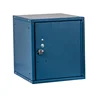/product-detail/popular-steel-mini-locker-small-metal-box-cubix-modular-locker-mini-single-door-locker-box-62170824247.html