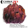 ZPDECOR Wholesale Cheap Dyed PURPLE Ringneck Pheasant Plumage Loose Feathers