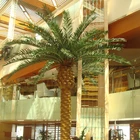 Wholesale Price Indoor Fiberglass Trunk Decorative Plastic Palm Tree Plants, Artificial Date Palm Tree