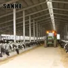 Prefabricated steel structure sheep livestock building canopy