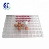 /product-detail/factory-price-chicken-duck-quail-plastic-egg-tray-price-shandong-60127277696.html