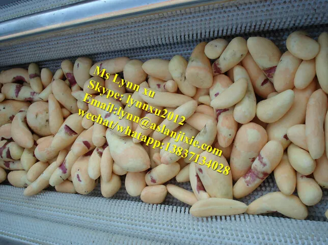 potato peeling machine 02