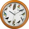 Bird sing wall clock,wall clock bird,clock with bird that sing