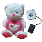 Toys sound button music button voice button for gifts
