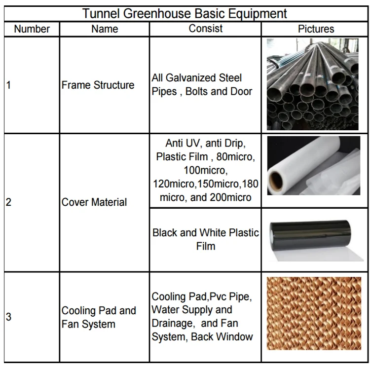 6M X10m Plastic Cover Indoor Mini Greenhouse