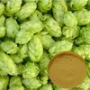 /product-detail/high-quality-beer-hop-pellets-humulon-powder-hops-flower-extract-60712685235.html