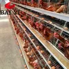 Best Selling Chicken Farm House For 10000 Layer Chickens For Sale