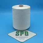 China Wholesale 120nm/2 spun silk yarn, ring spun technics raw silk fiber for silk scarf and sarees from SPO