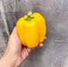 China premium selection colourful bell pepper
