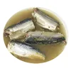 /product-detail/canned-mackerel-tin-fish-for-sri-lanka-60839842998.html