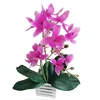 /product-detail/ifg-indoor-real-touch-latex-artificial-flowers-potted-dendrobium-orchid-plants-62209552854.html