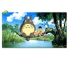 Hot Sale Cartoon Series Digital Print Canvas Painting Totoro Design Fabric Frame Print Picture