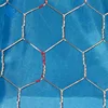 /product-detail/kenya-shop-online-pvc-coated-rust-proof-hexagonal-wire-mesh-62037015084.html