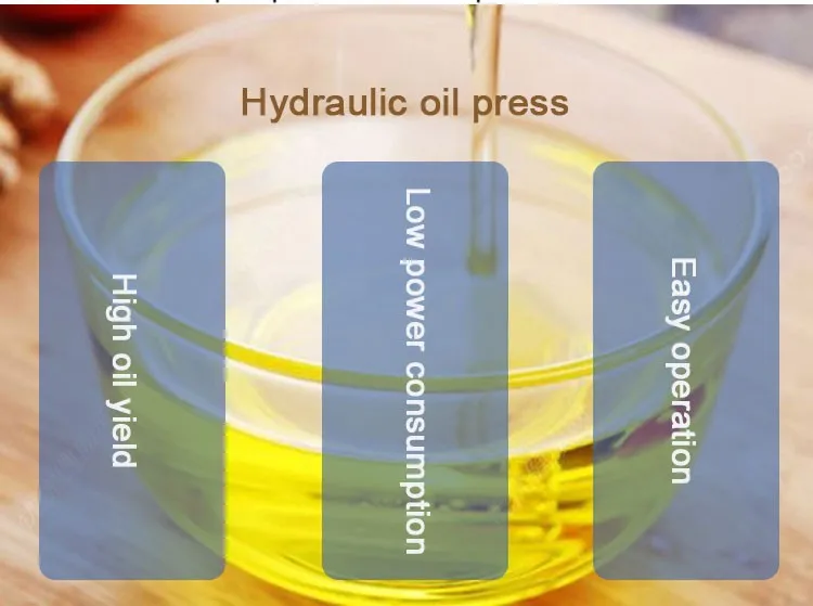 Hydraulic Olive Oil Press Machine Commercial Cocoa Butter Oil Extraction Machine Walnut Oil Expeller Equipment manufacture