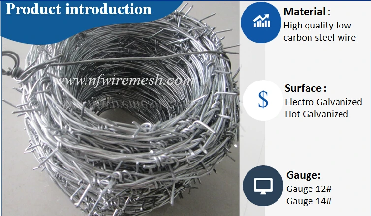 Direct Supplier Against Theft Having Stock Hot Galvanized Barbed Wire Iron Wire for Sale (Guangzhou Factory)