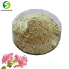 Supply banaba leaf extract corosolic acid bulk powder banaba leaf insulin plant