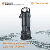 China Manufacturer Professional Water Pump WQ