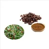 Wild Jujube Extract/Spina Date Seed Extract /Semen Ziziphi Spinosae Powder