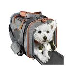 Waterproof 600 D oxford pet carrier, airline pet carrier bag
