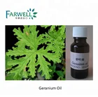 Farwell Pelargonium Graveolenes / Geranium Oil CAS#8000-46-2