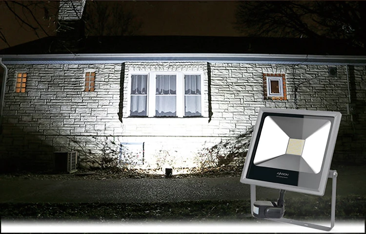 LED Flood TG04100-2