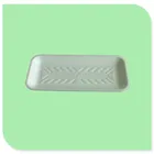 Hot selling high quality foam disposable food tray with cover