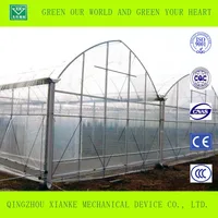 Single Layer Agriculture And Commercial Polytunnel