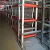 hot azra poultry equipment in china