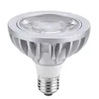 Shenzhen factory led par30 light short neck 15W COB led par 30 5000K for project use