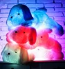 2018 Hot Customized Colorful Night Light Led Glowing Dog Plush Toy Best Gift For Girls