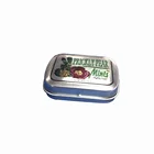 Wholesale Custom Printed Metal Tin Can Hinged Mini Small Candy Mint Tin Box