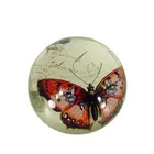 Nice butterfly image crystal glass magnifying dome paperweight