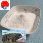 Sodium Alginate Food Grade Additives