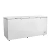 /product-detail/bd-600-single-temperature-double-top-open-door-600l-commercial-big-capacity-chest-freezer-cb-ce-ccc-iso-60103748449.html