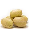 Holland fresh potatoes export to dubai with market price of potatoes