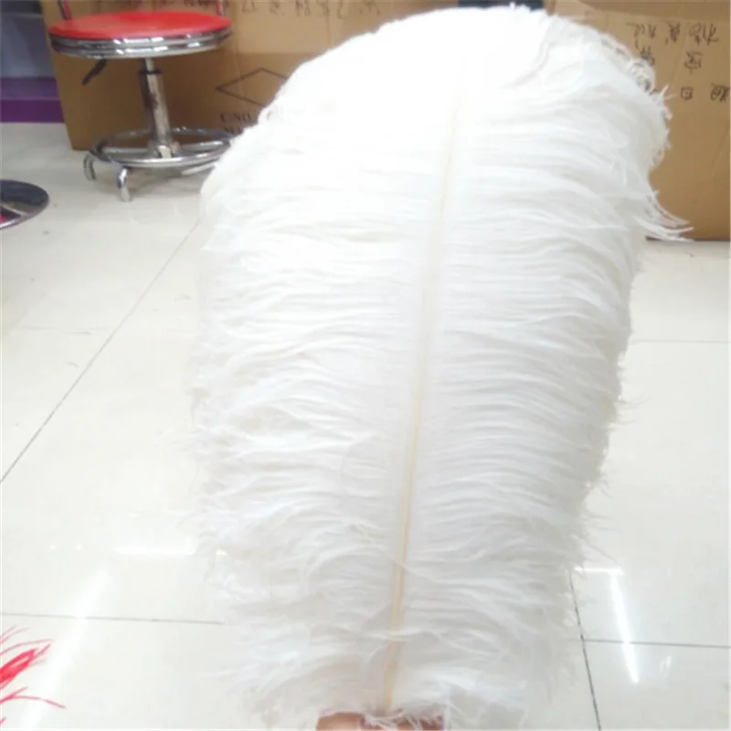 buy large ostrich feathers