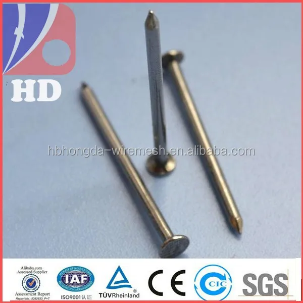 polished common nail / common iron nail / common