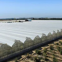 High Quality Steel Structure And Long