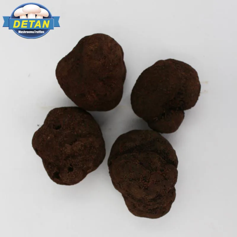 Detan Wild Black Truffles for Sale