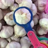 2018 Export China Garlic and Ginger, 20kg/mesh bag
