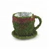 garden flower pot moss tea cup planter