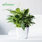 Leizisure Indoor Desk Self Watering Ceramic Trapezoid Square Mini Plastic Small Colored Flower Plant Pot and Planters