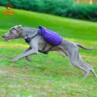 Outdoor dog harness bag travel hiking dog carrier backpack
